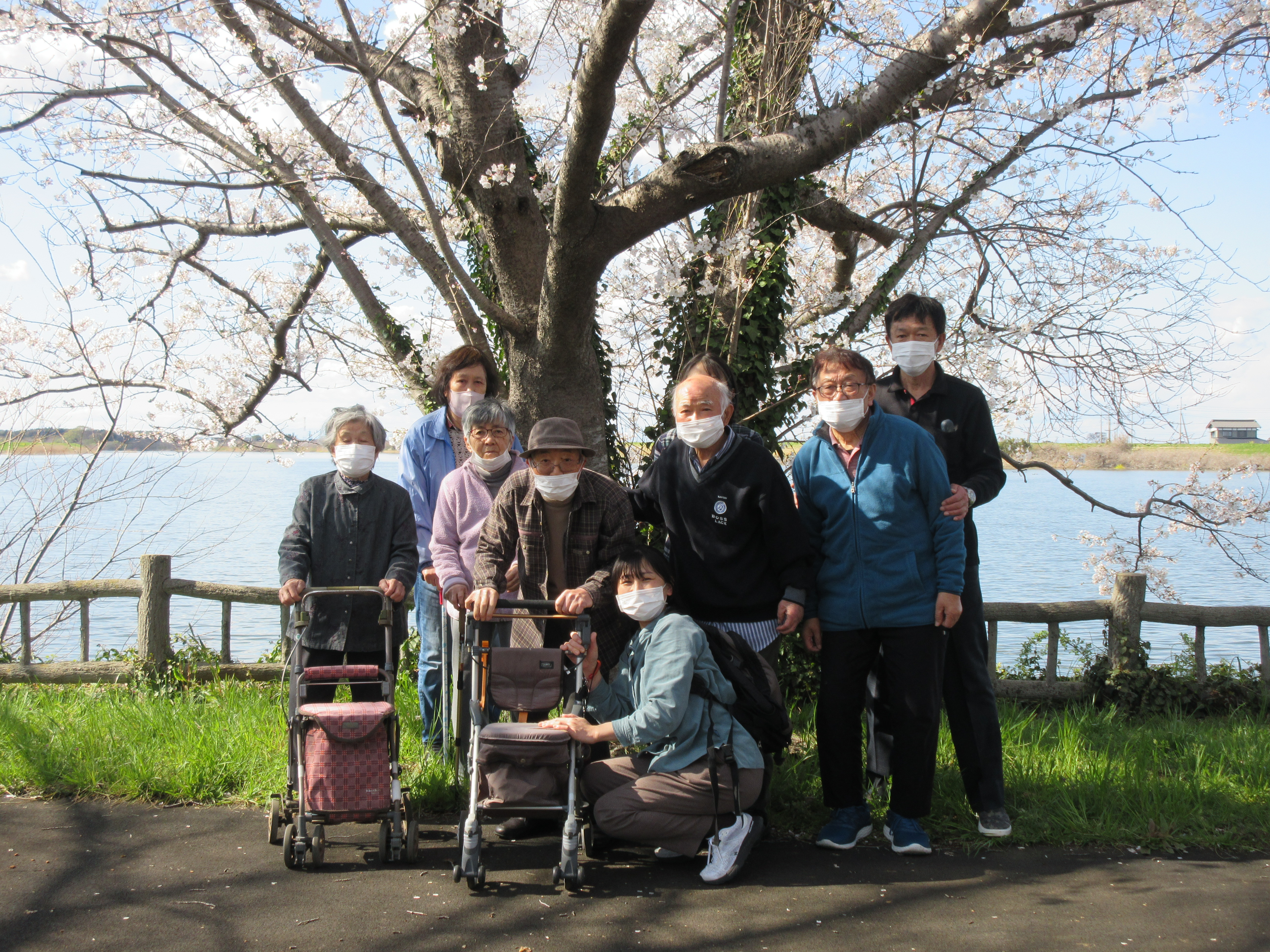 2025年桜鑑賞に行ってきました。パート1