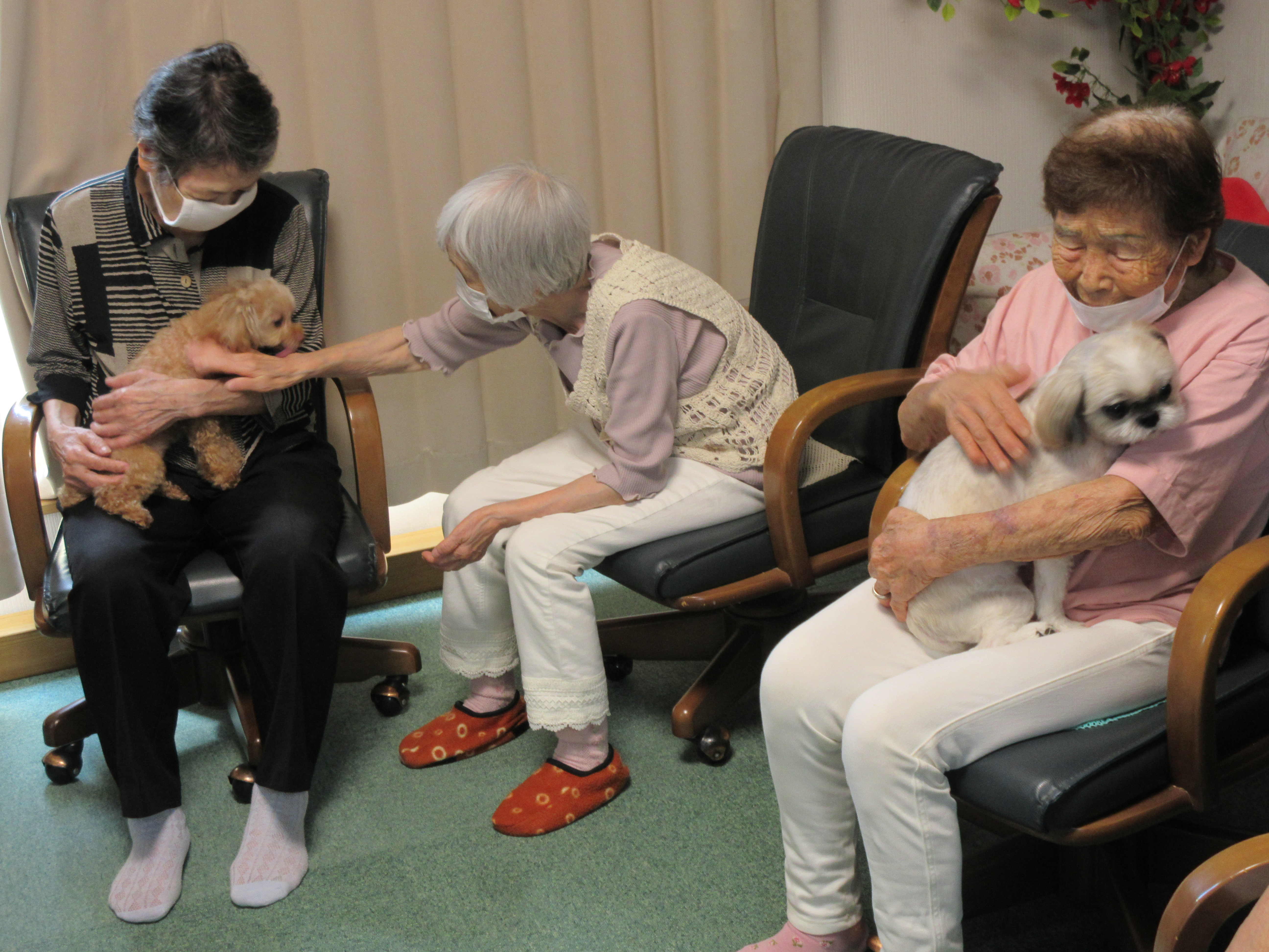 むむと舞です。